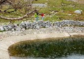 Pond in Mali me Gropa