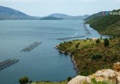 Lagoon of Butrint