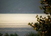 Prespa Lake