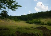 Valley of Voskopoja