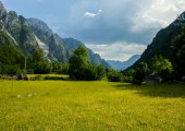 Meadow near the waterfall