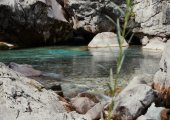 Valbona river