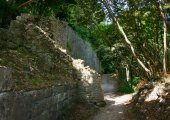 Road leading to the castle