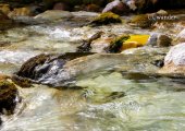 Crystal waters of Valbona river