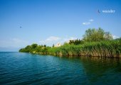 Island in Prespa